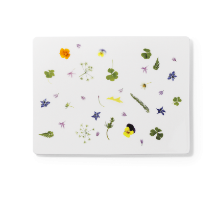 Rectangular Platter Multiple Colors (32cm)-Platters