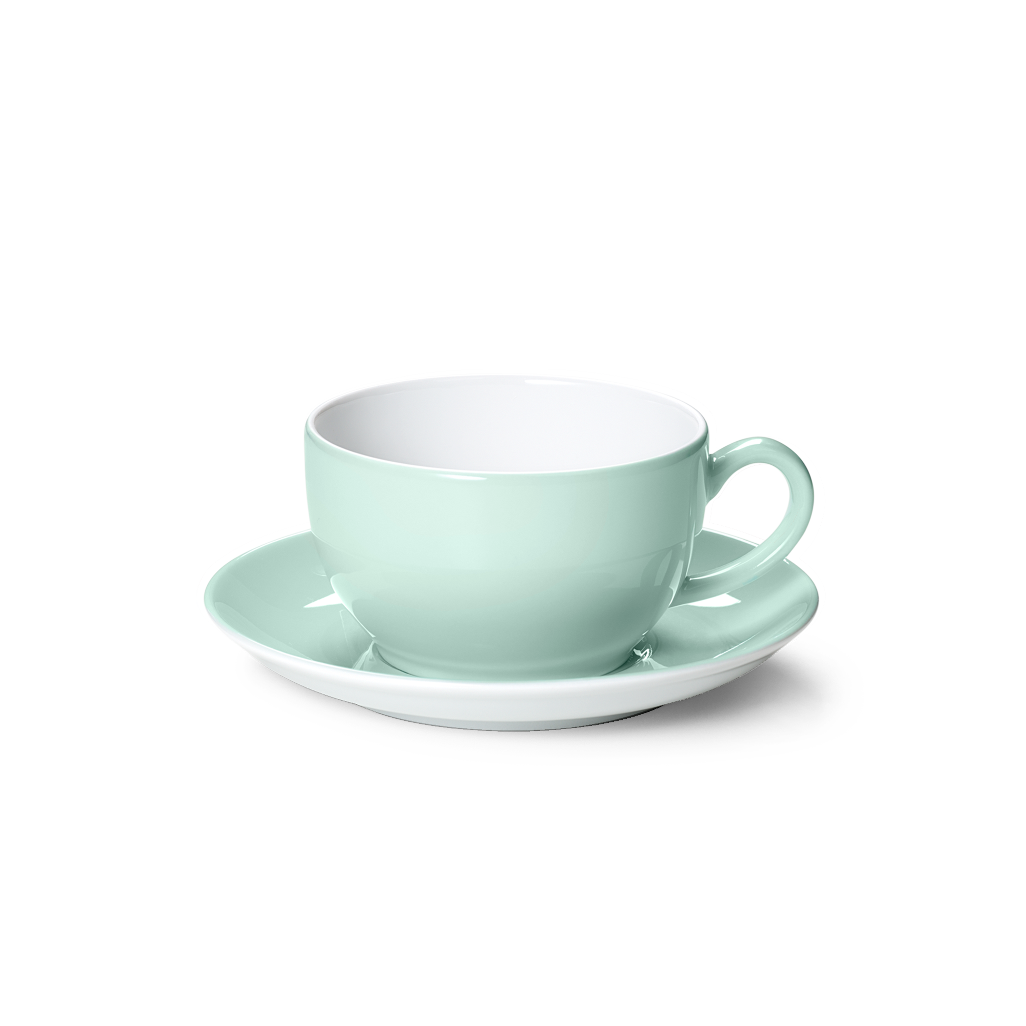 Solid Color Mint coffee mug